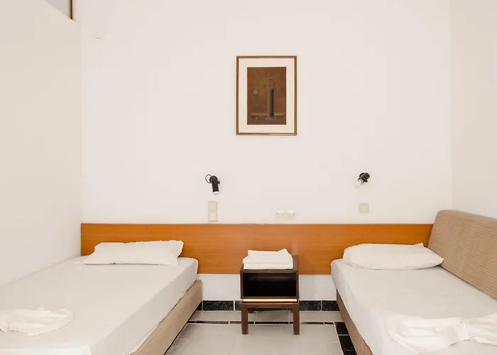 Gnest 2* 팔리라키